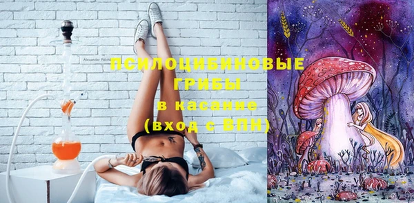 хмурый Михайлов