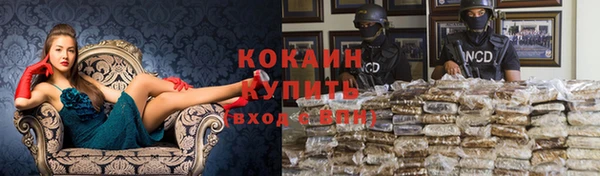 хмурый Михайлов